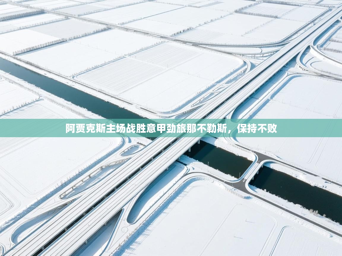 阿贾克斯主场战胜意甲劲旅那不勒斯，保持不败  第1张