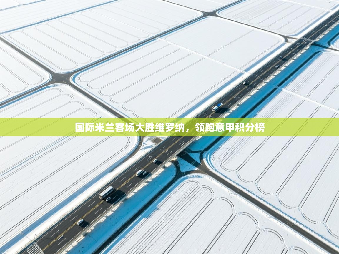 国际米兰客场大胜维罗纳,领跑意甲积分榜 第2张