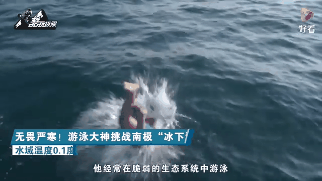 B体育-包含南极球队参赛，挑战各大洲劲旅的词条
