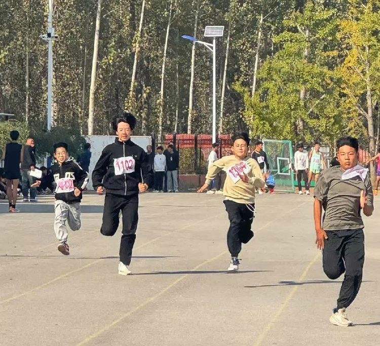 球场上一片欢腾，队员们全力以赴奋力拼搏(球场上的拼搏)